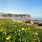Naranjos