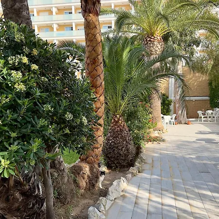 Naranjos Jávea
